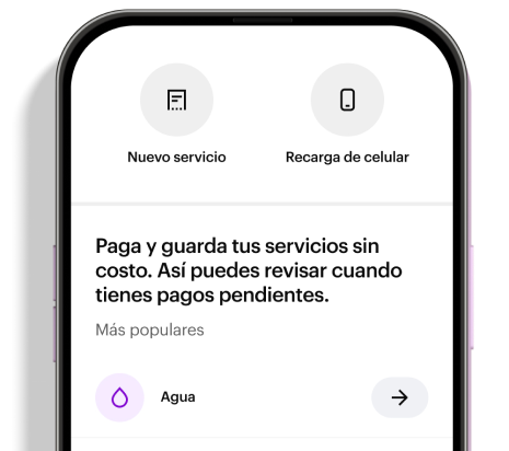 Service Payments